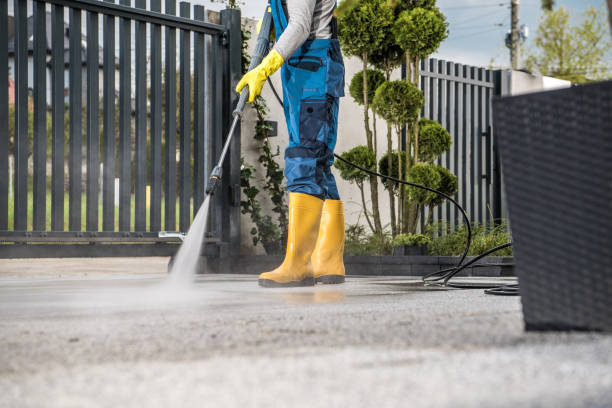 Best Soft Washing for Delicate Surfaces in Buffalo, NY